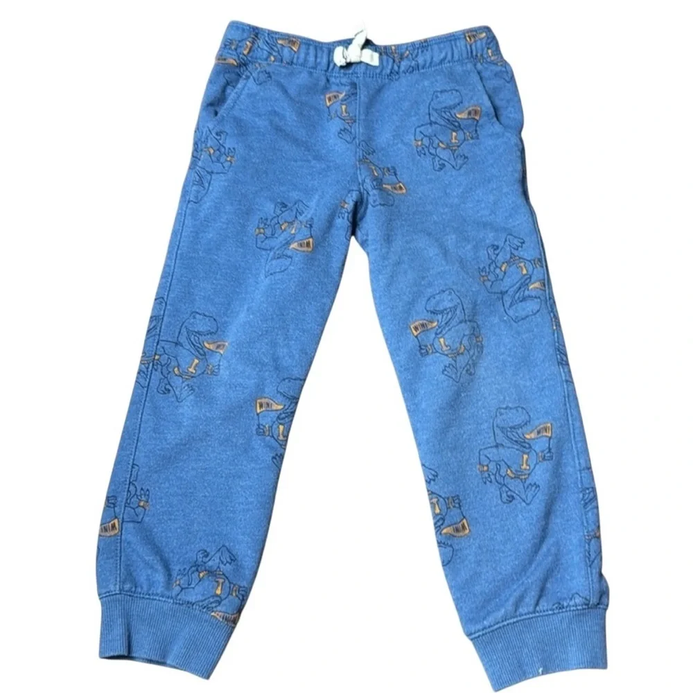 Blue Dinosaur Print Sweatshirt and Pants Set